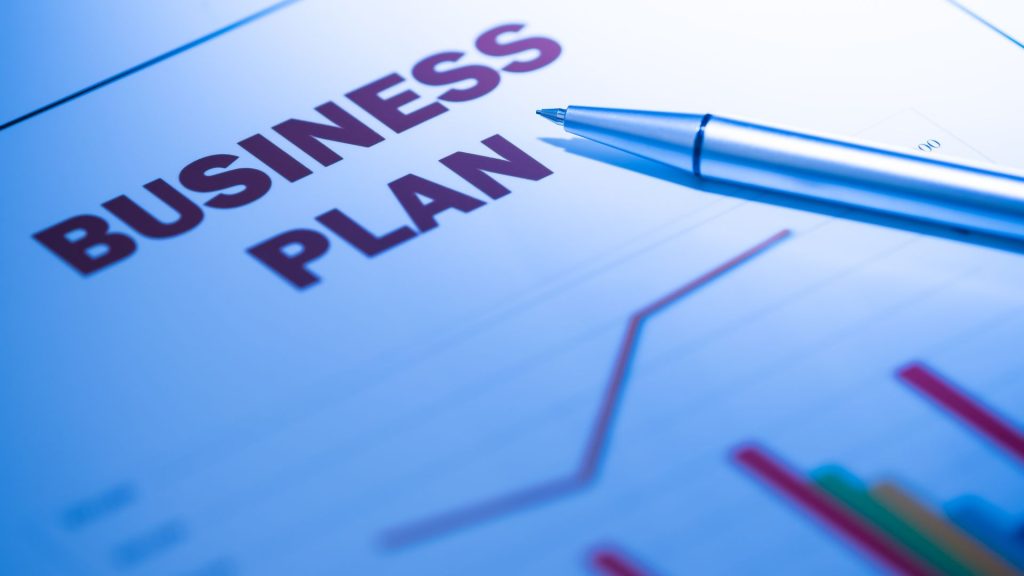 Startup Business Plan Consultant